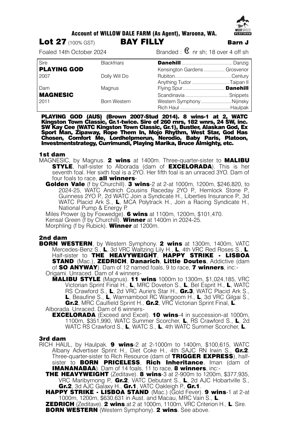 Pedigree - Lot 27