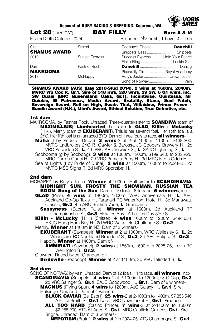 Pedigree - Lot 28
