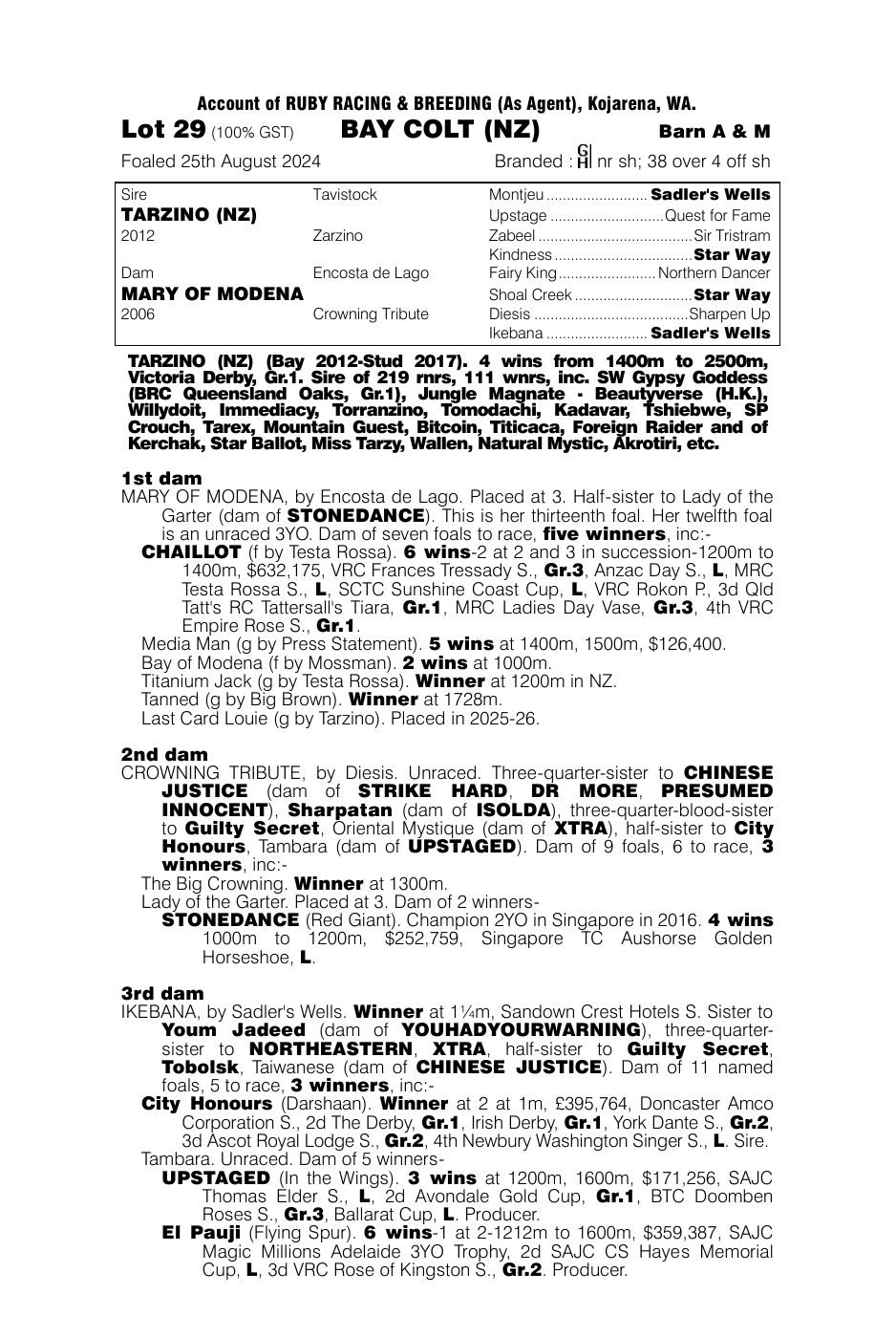 Pedigree - Lot 29