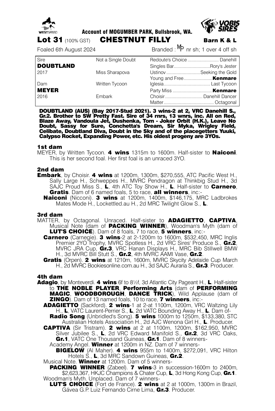 Pedigree - Lot 31