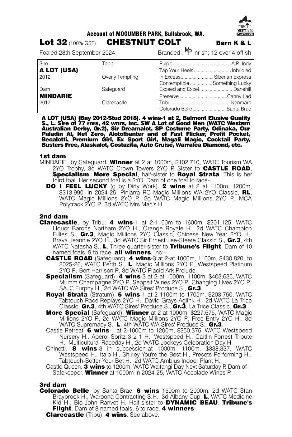 Pedigree - Lot 32