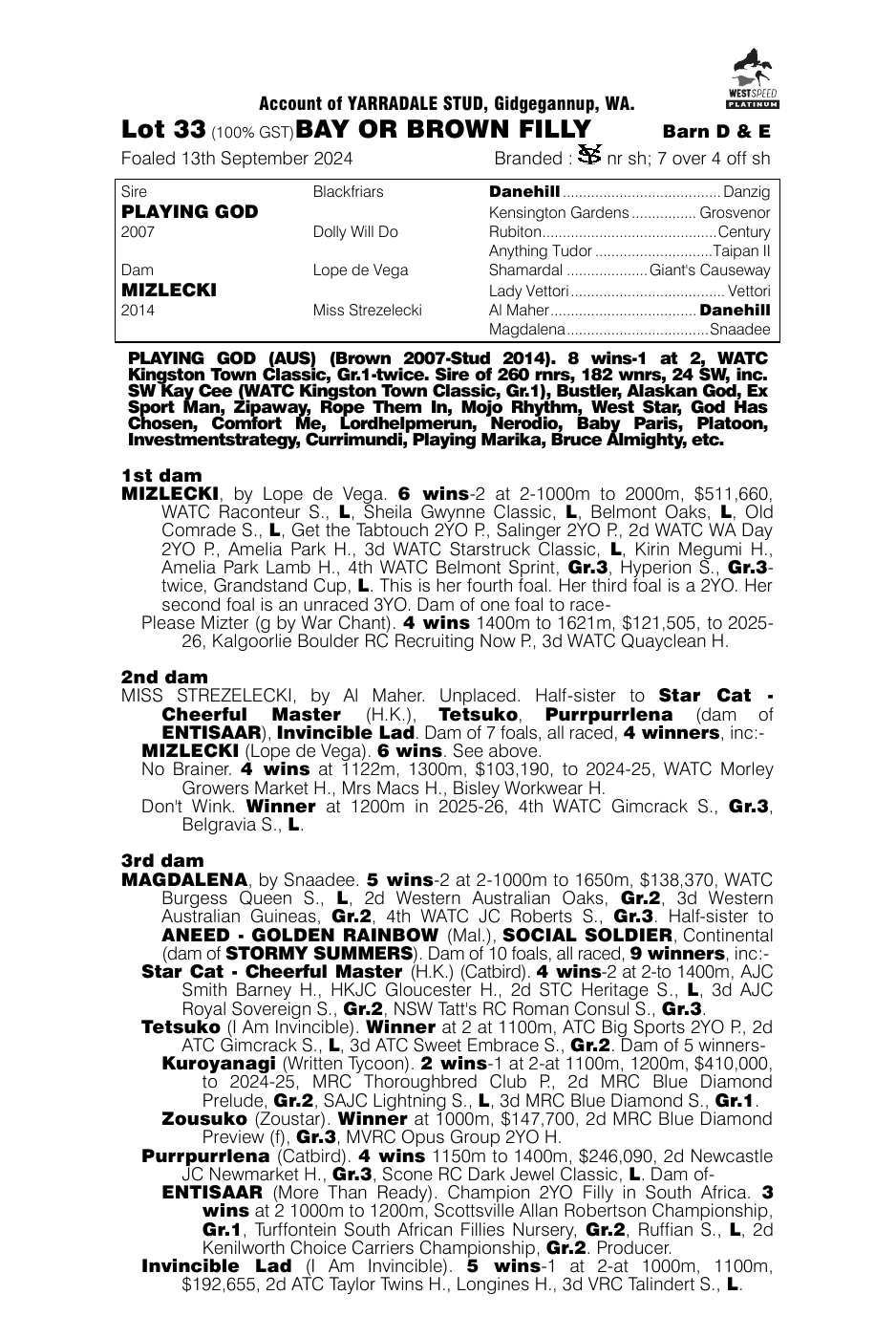 Pedigree - Lot 33