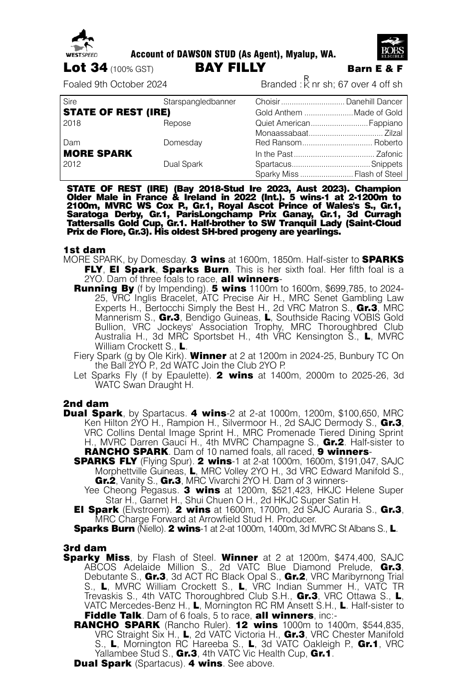 Pedigree - Lot 34
