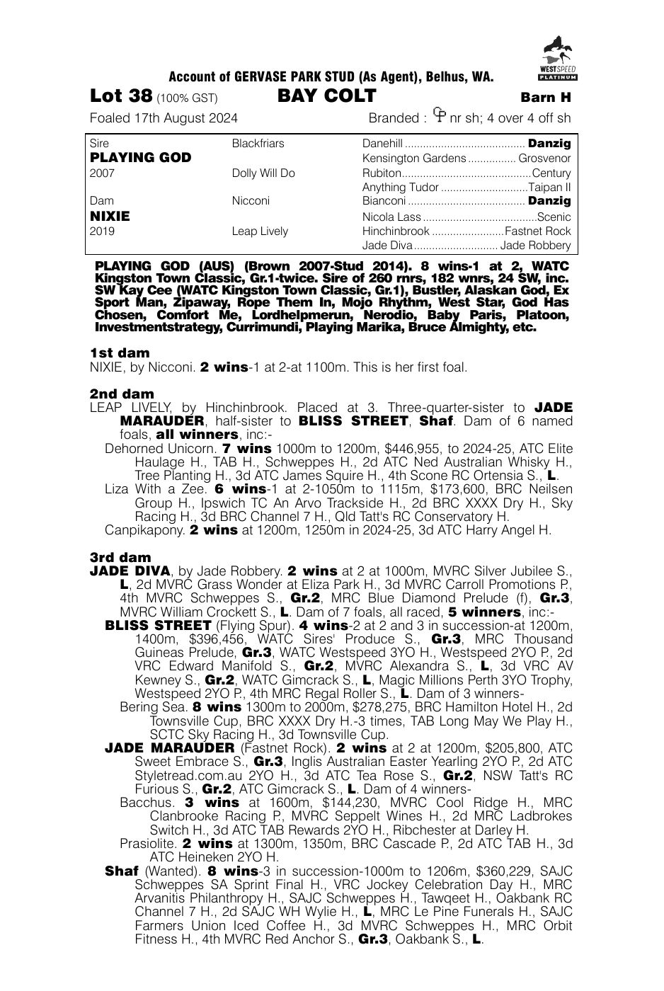 Pedigree - Lot 38