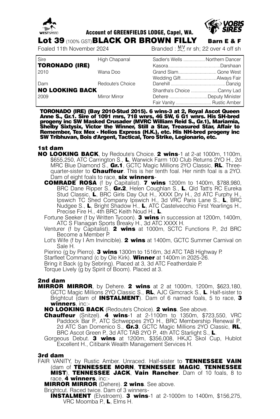 Pedigree - Lot 39