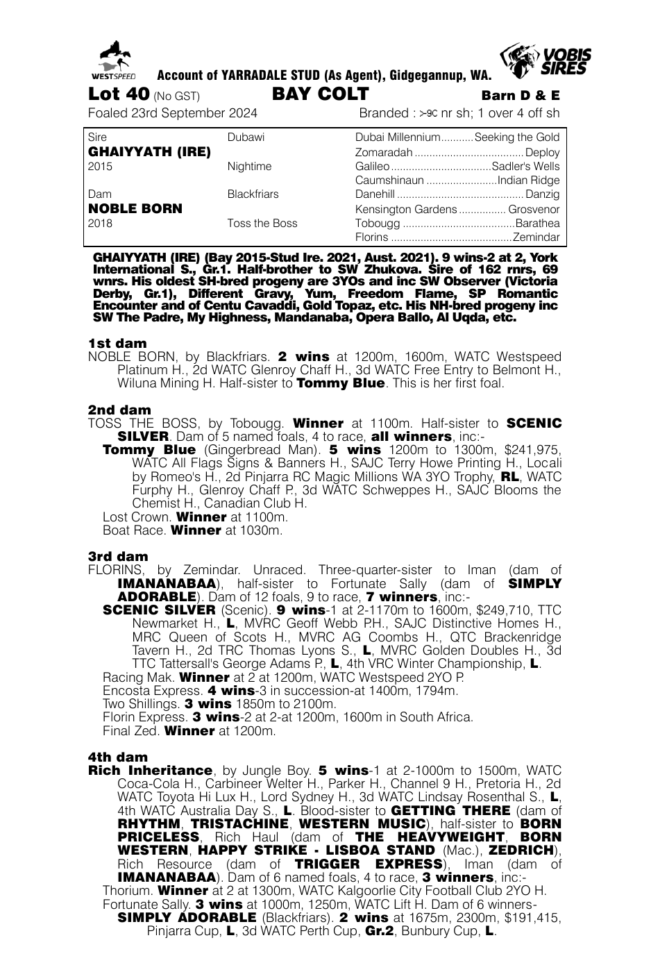 Pedigree - Lot 40