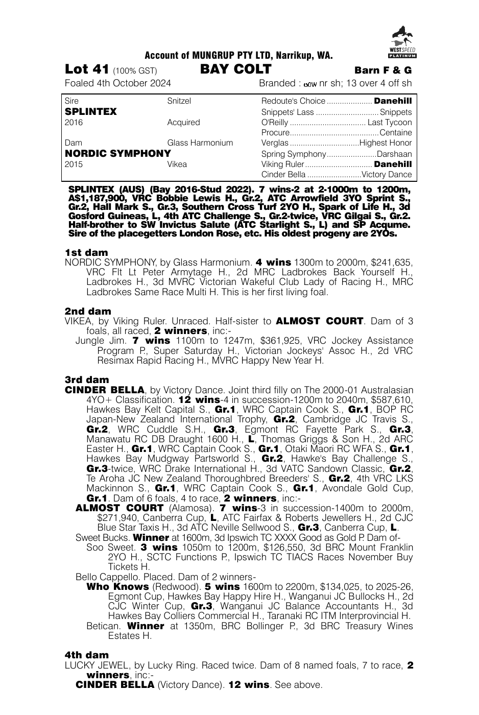 Pedigree - Lot 41