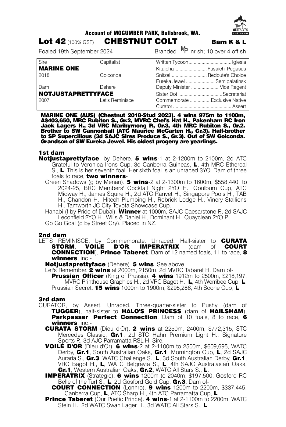 Pedigree - Lot 42