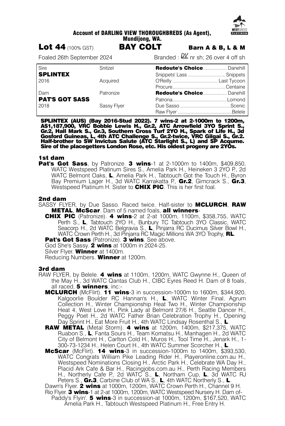 Pedigree - Lot 44