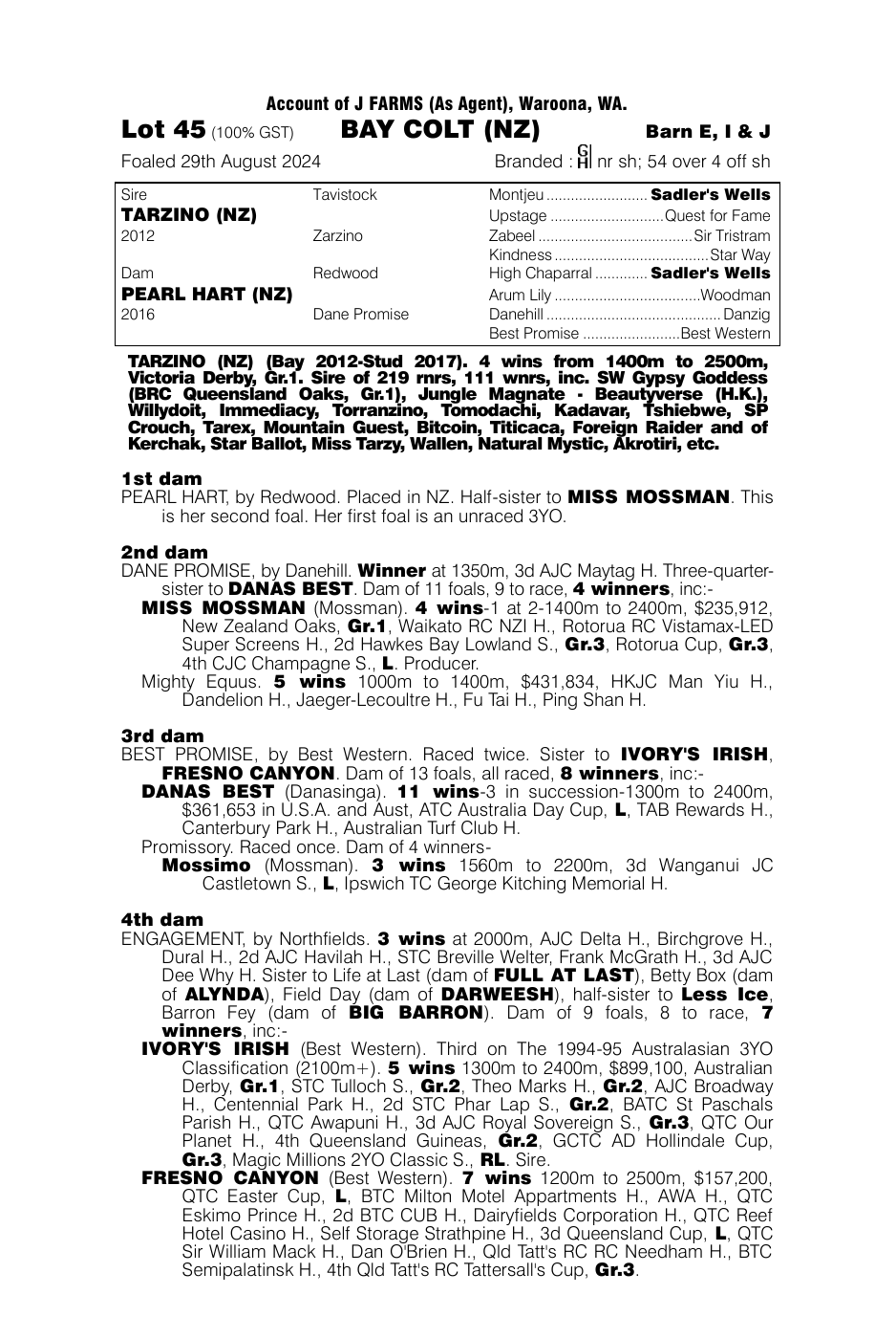 Pedigree - Lot 45