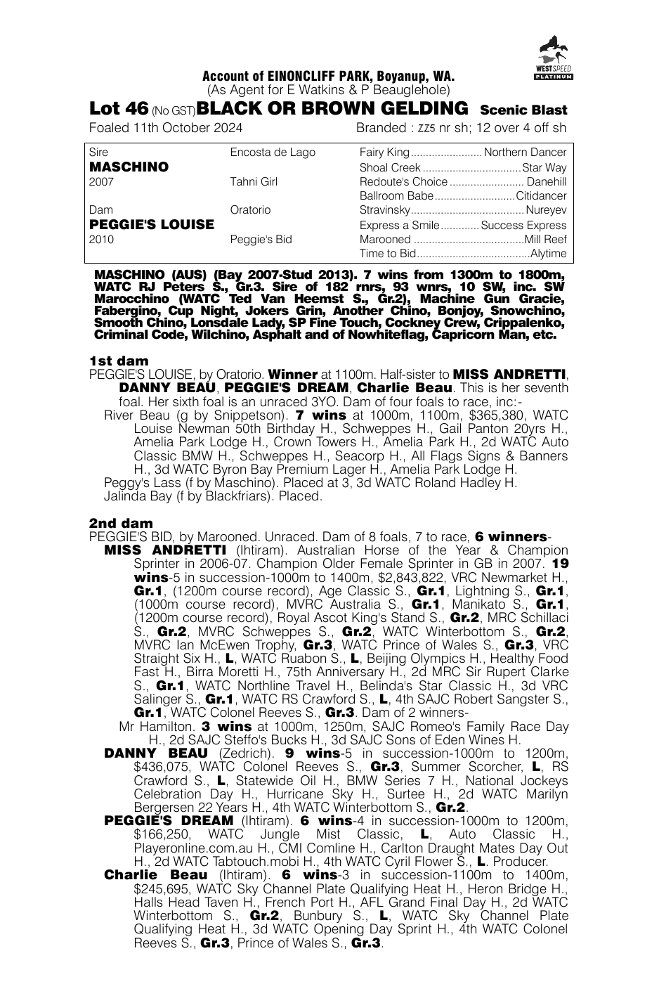 Pedigree - Lot 46