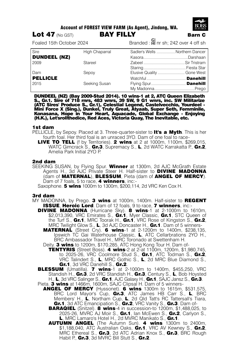 Pedigree - Lot 47