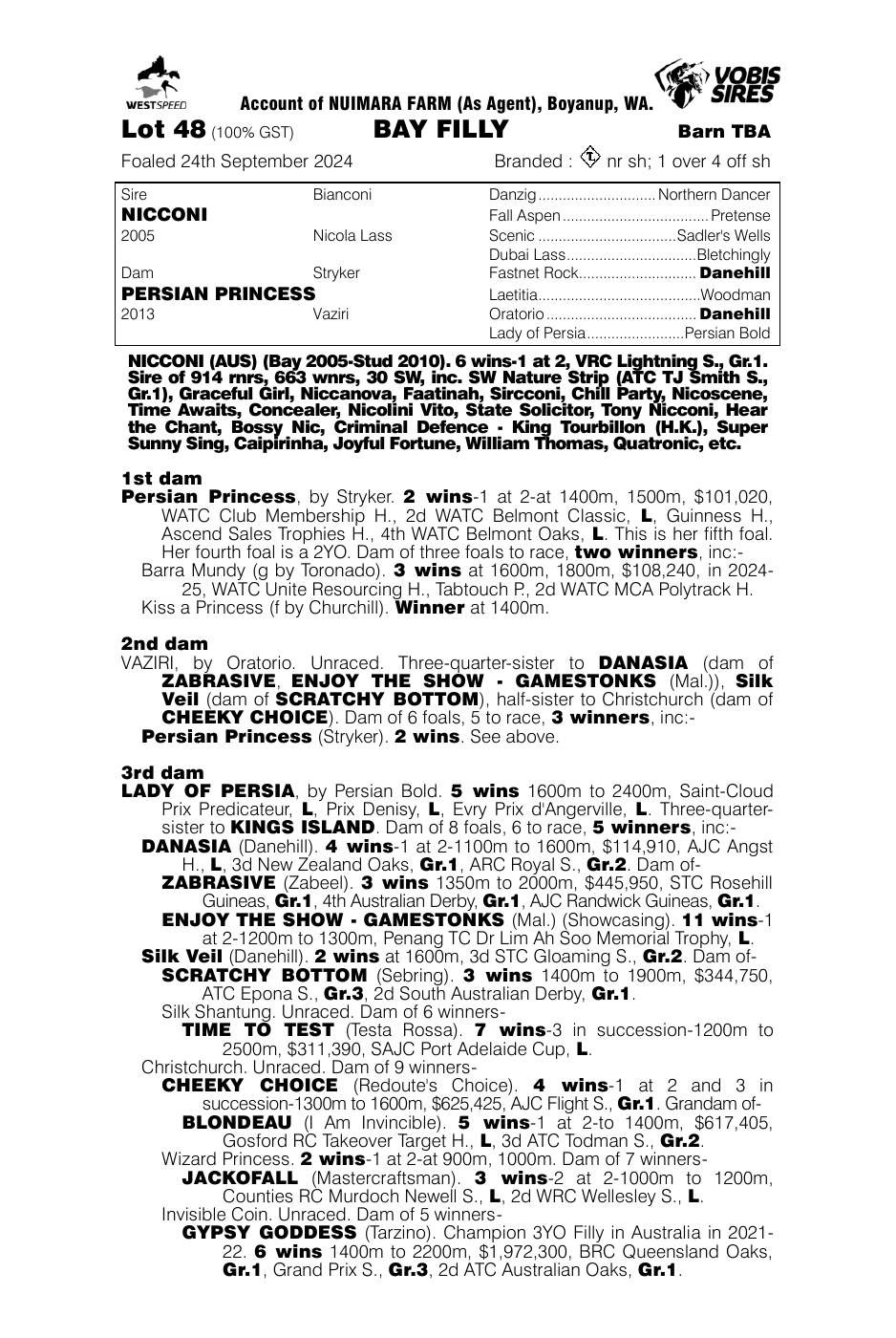 Pedigree - Lot 48