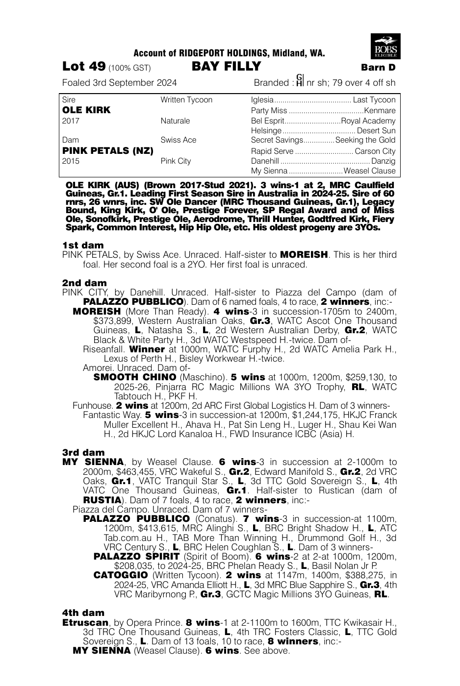 Pedigree - Lot 49