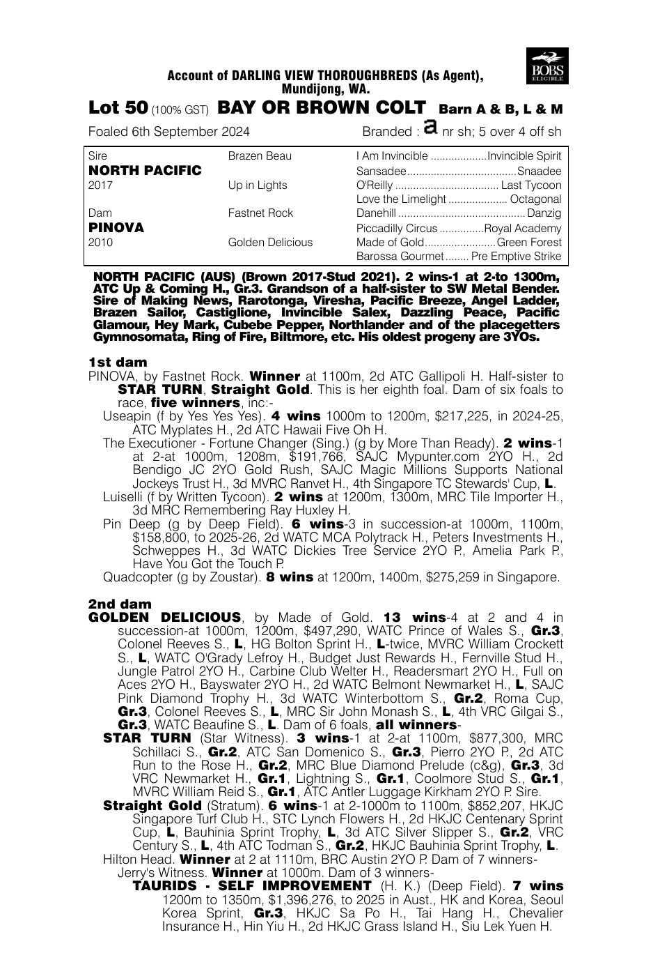 Pedigree - Lot 50