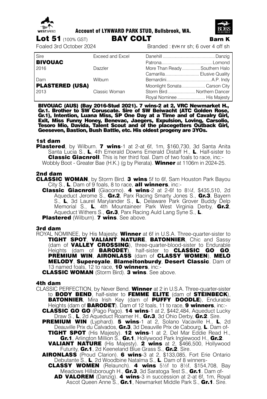 Pedigree - Lot 51