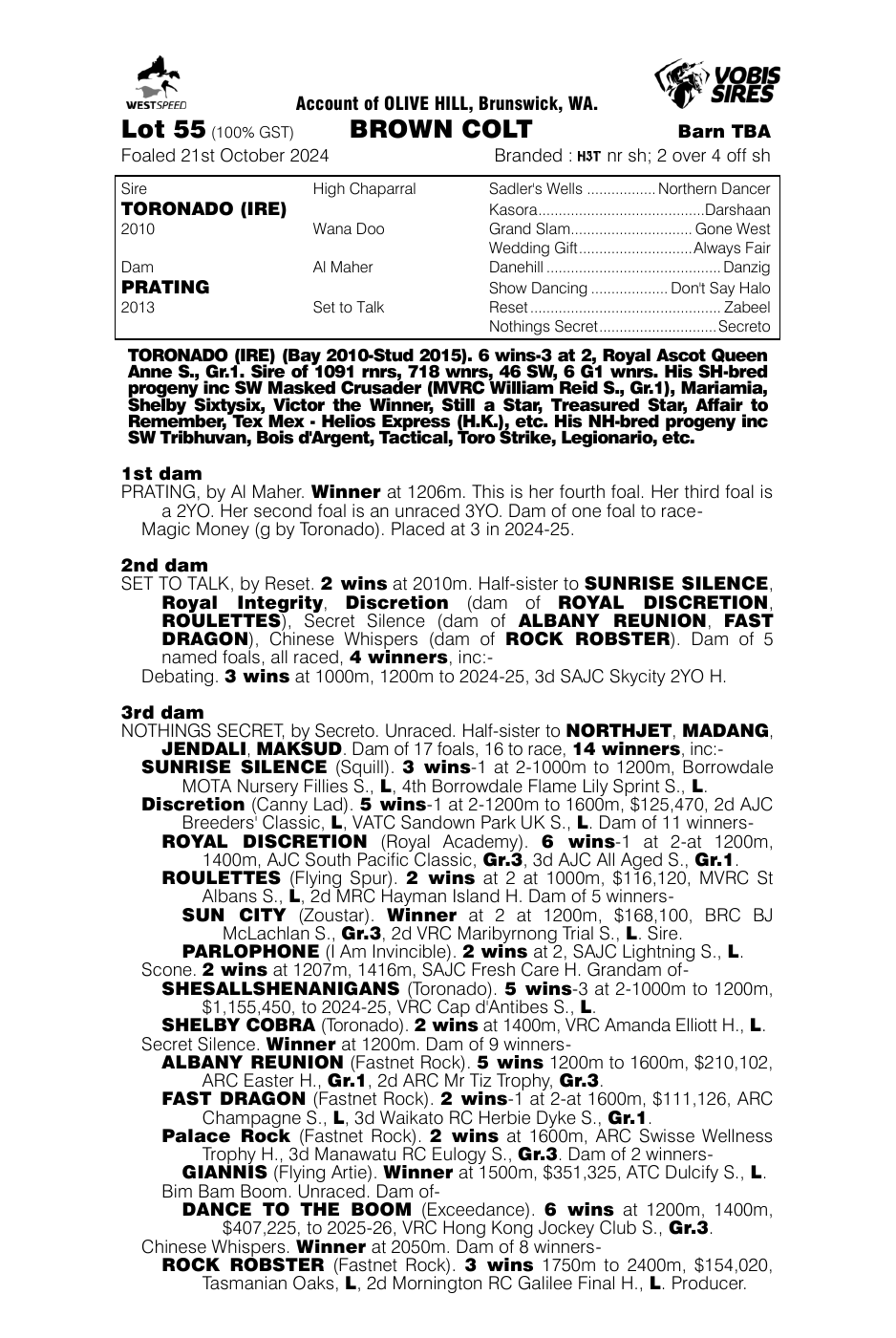 Pedigree - Lot 55