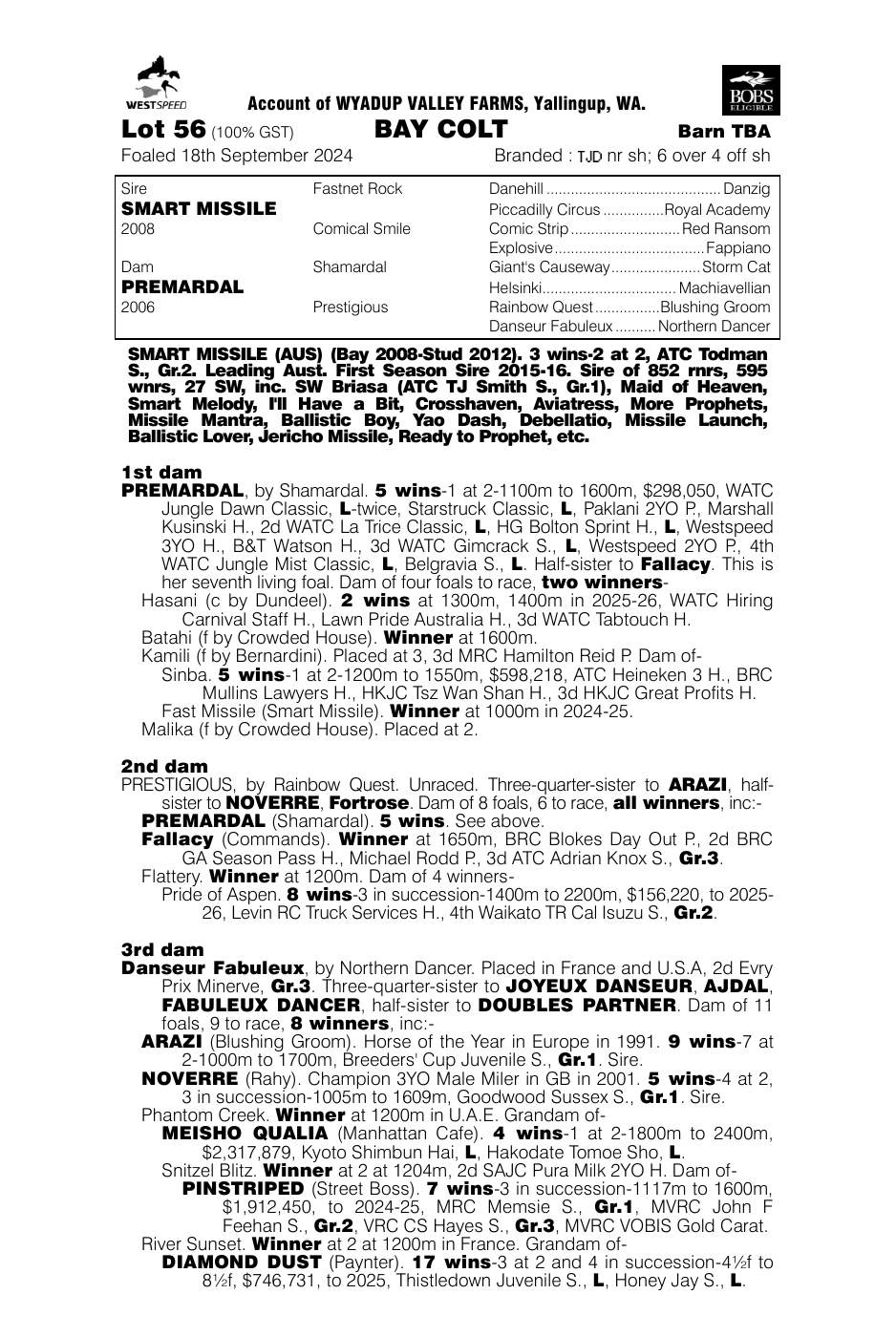 Pedigree - Lot 56
