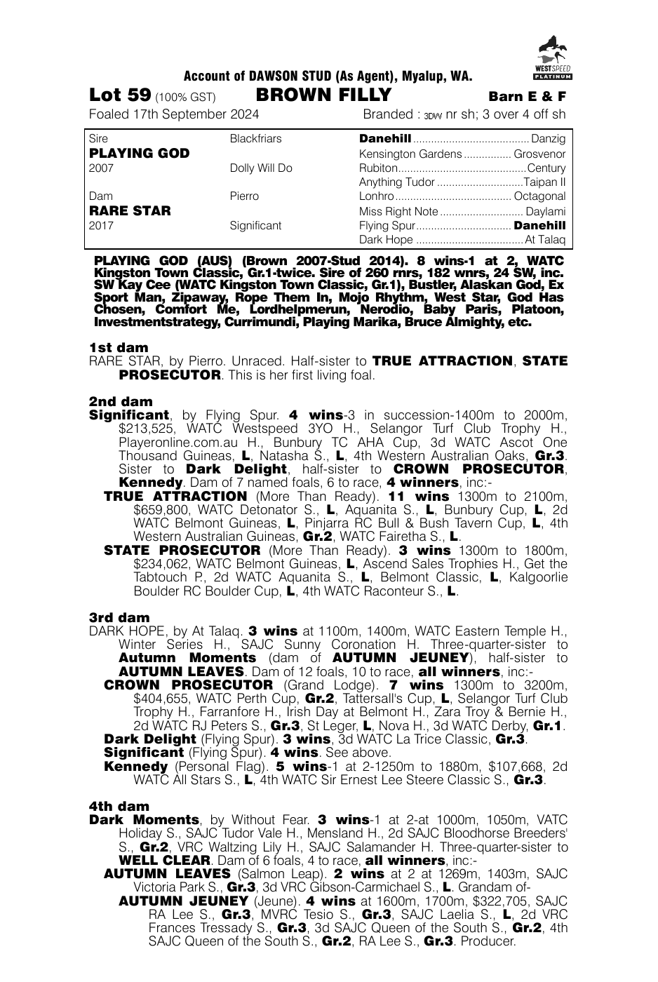 Pedigree - Lot 59