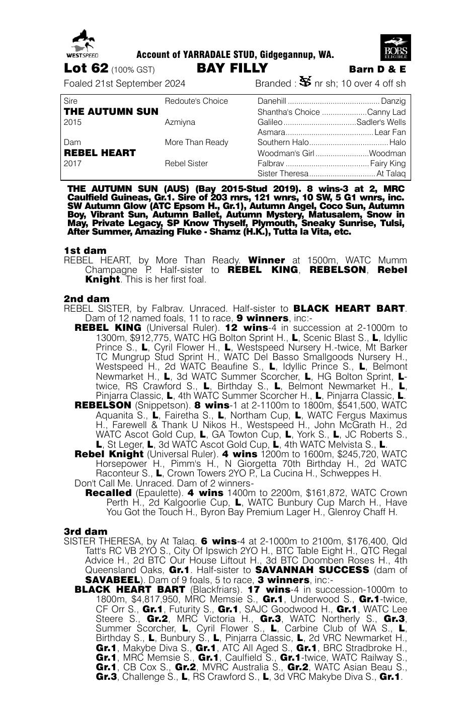 Pedigree - Lot 62