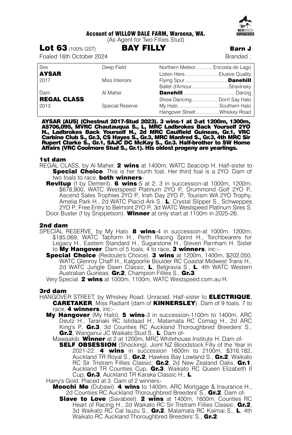 Pedigree - Lot 63