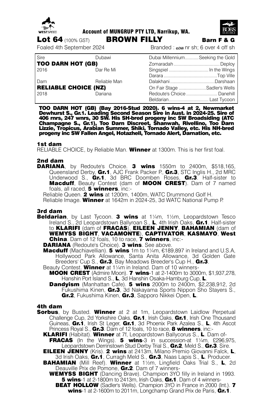 Pedigree - Lot 64