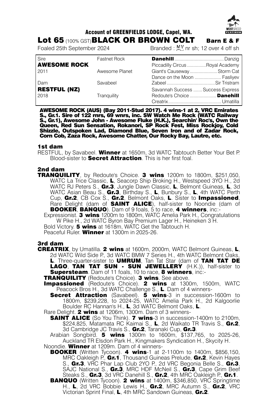 Pedigree - Lot 65