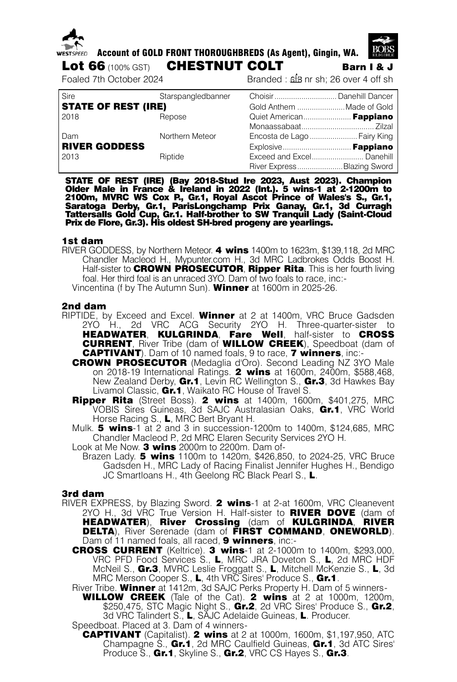 Pedigree - Lot 66
