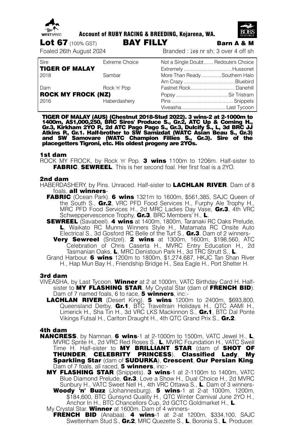 Pedigree - Lot 67