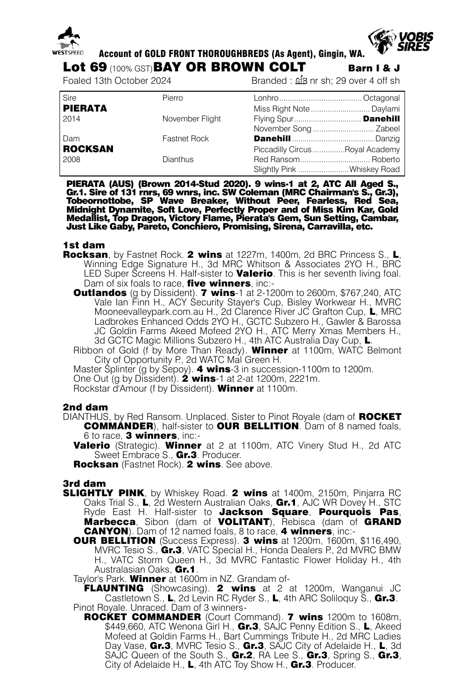 Pedigree - Lot 69