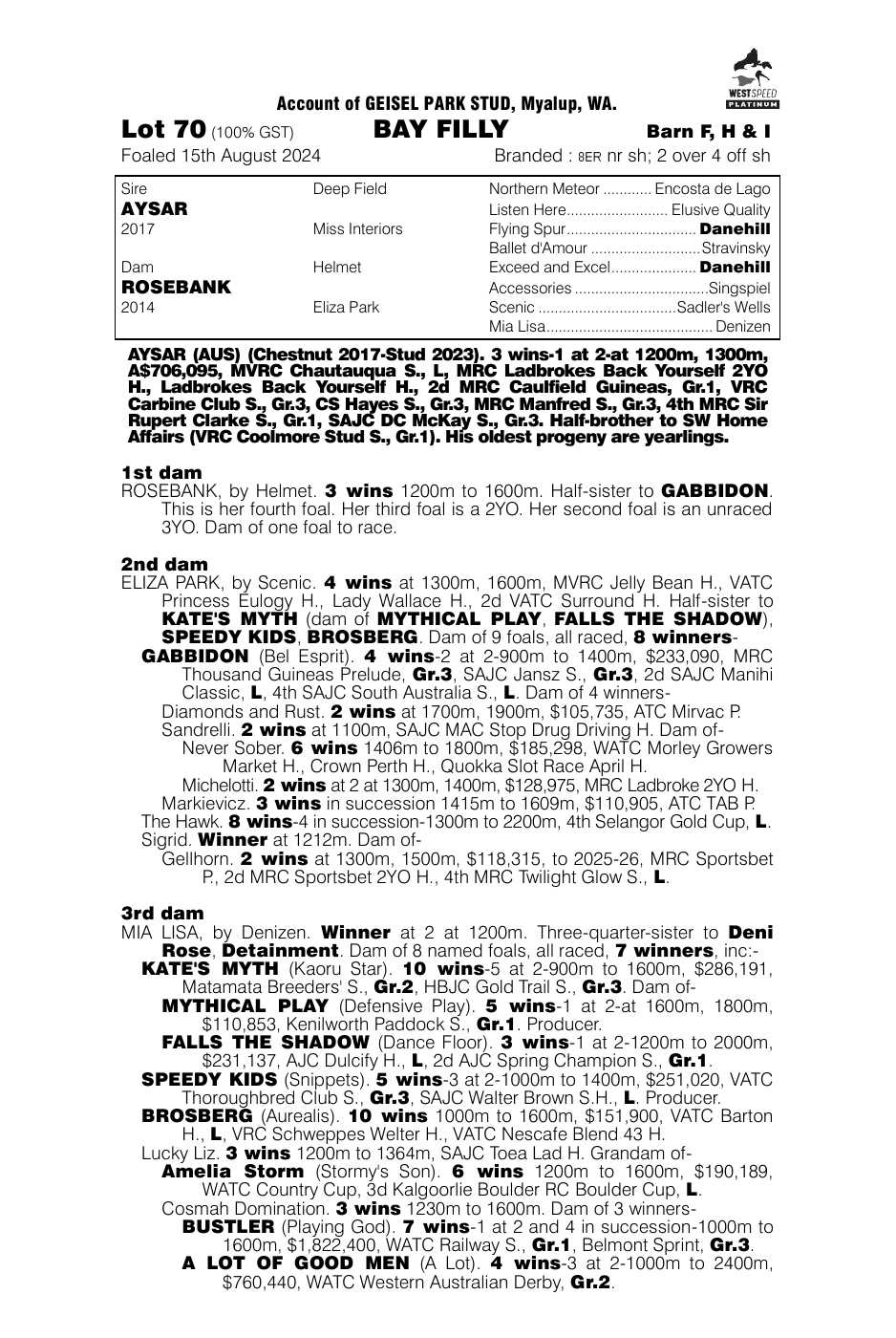 Pedigree - Lot 70