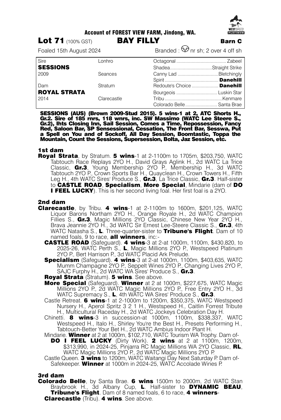 Pedigree - Lot 71