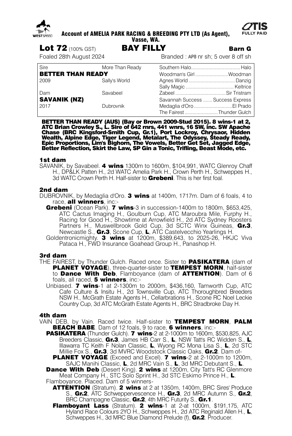 Pedigree - Lot 72