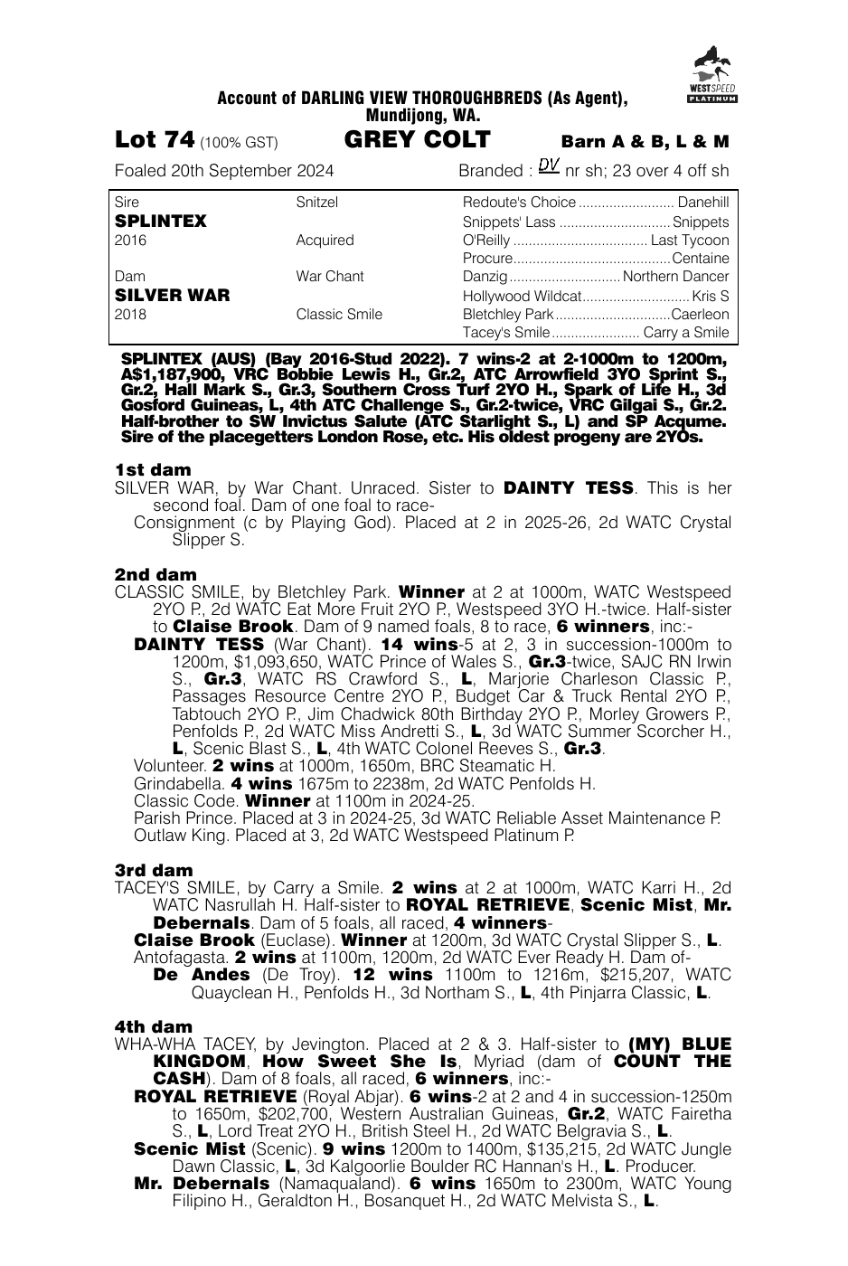 Pedigree - Lot 74