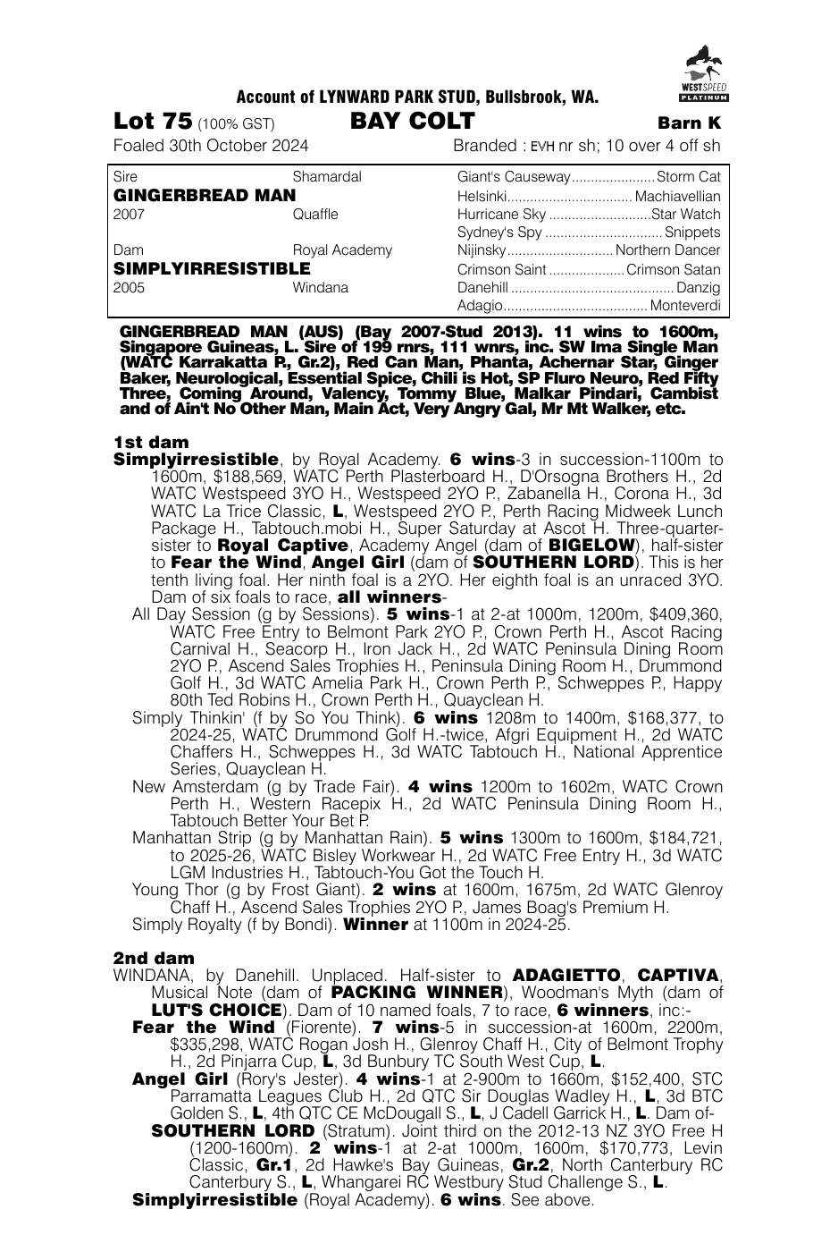 Pedigree - Lot 75