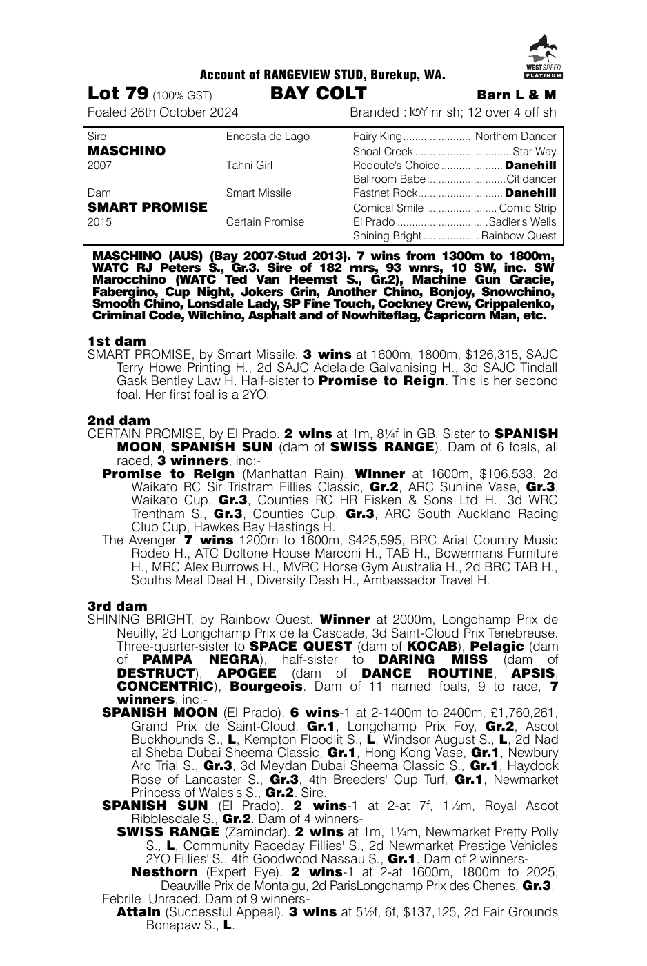 Pedigree - Lot 79