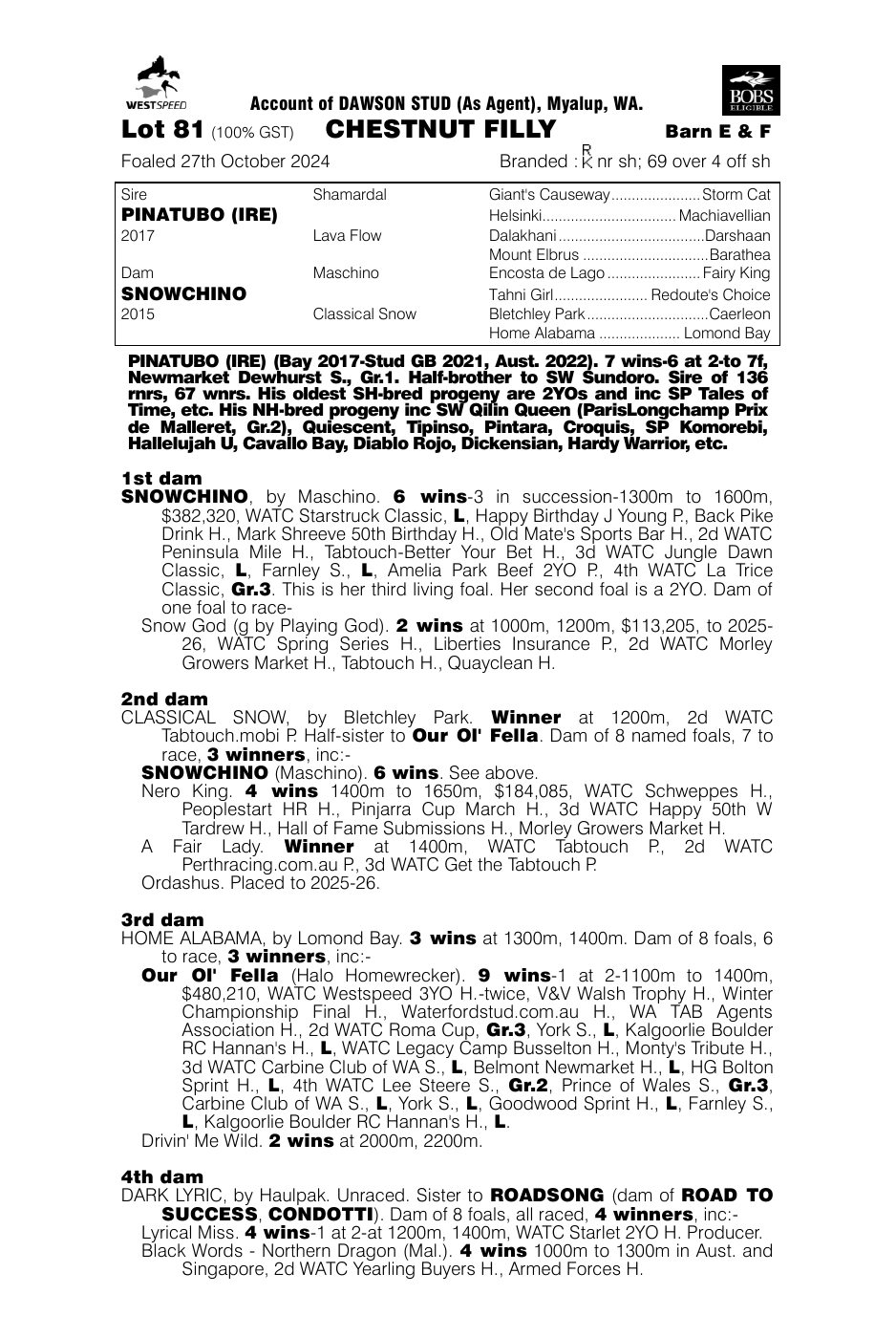 Pedigree - Lot 81