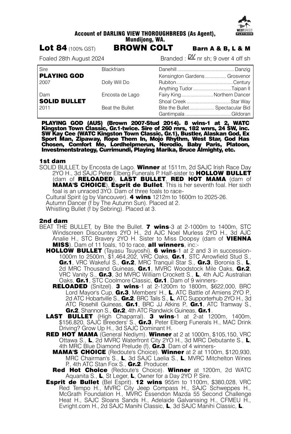 Pedigree - Lot 84