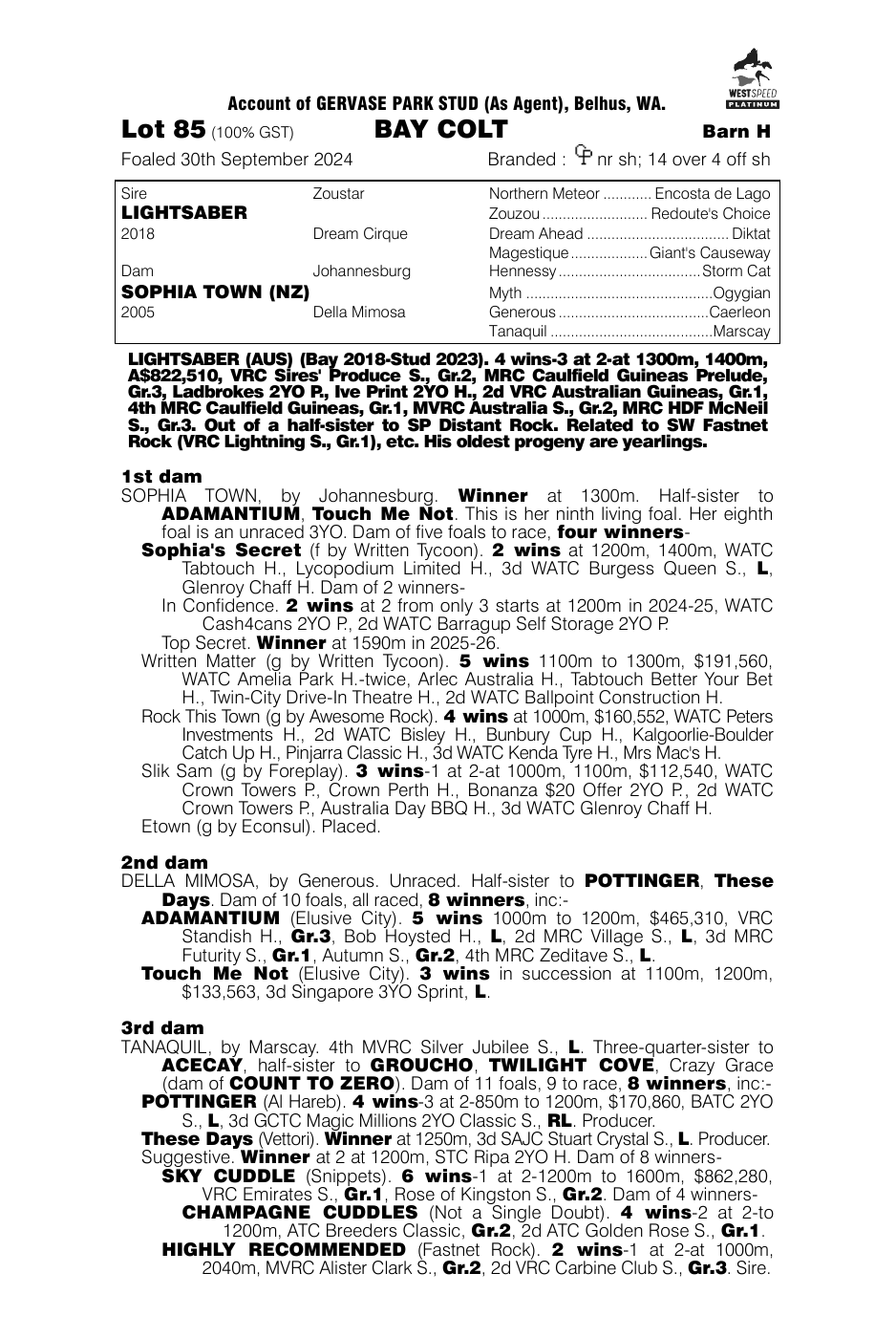 Pedigree - Lot 85
