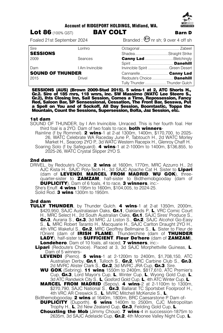 Pedigree - Lot 86