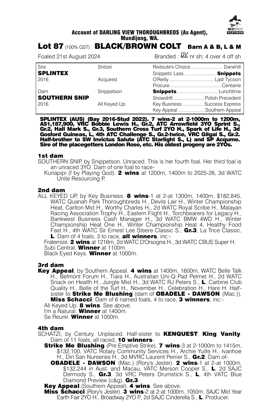 Pedigree - Lot 87