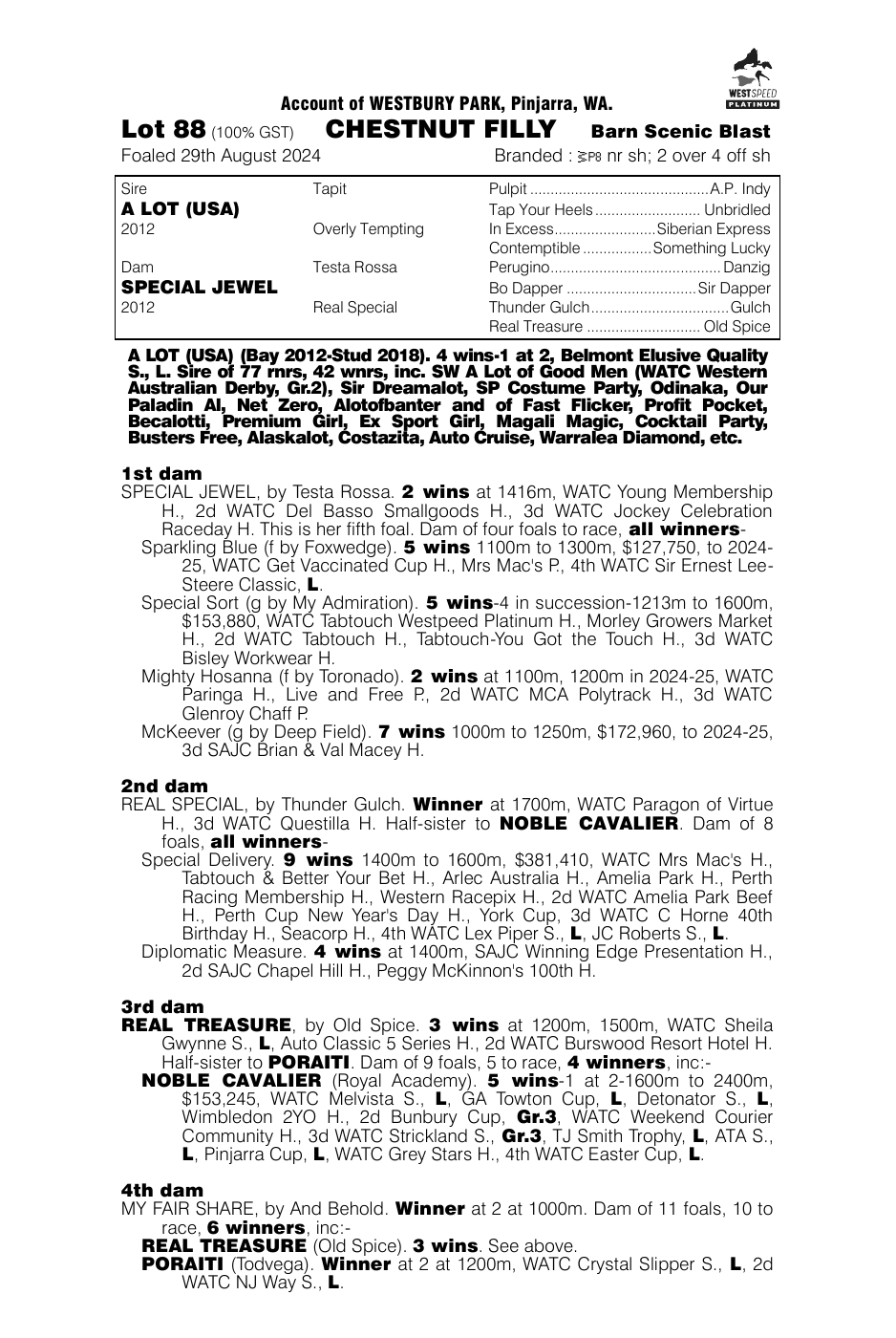 Pedigree - Lot 88