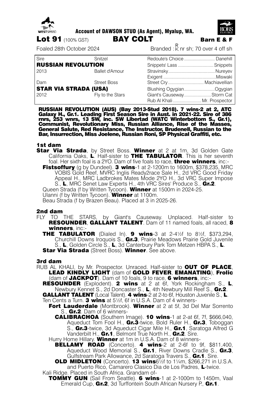Pedigree - Lot 91