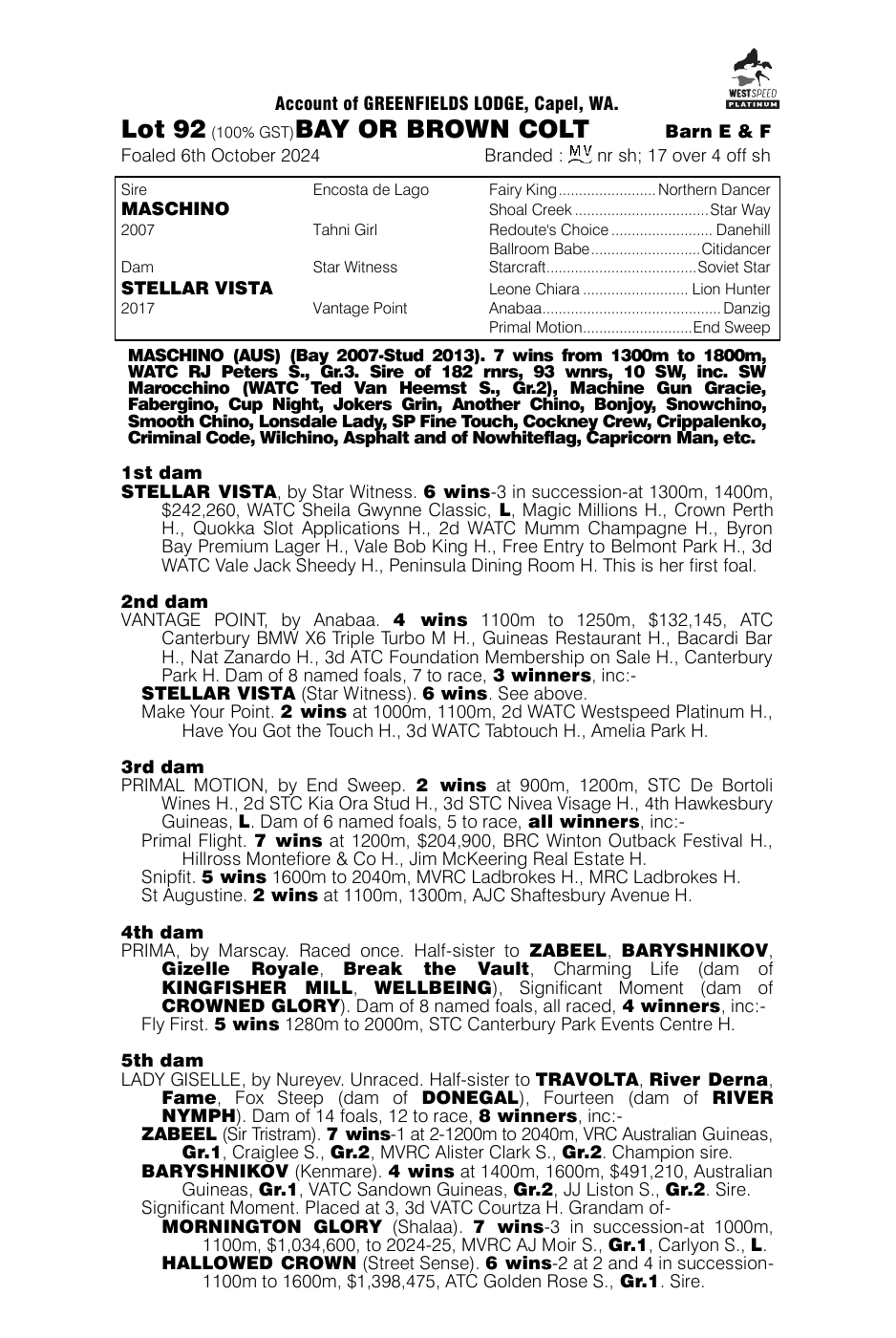 Pedigree - Lot 92