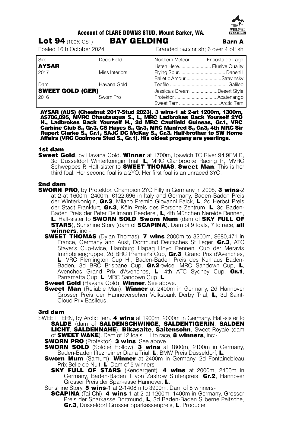 Pedigree - Lot 94