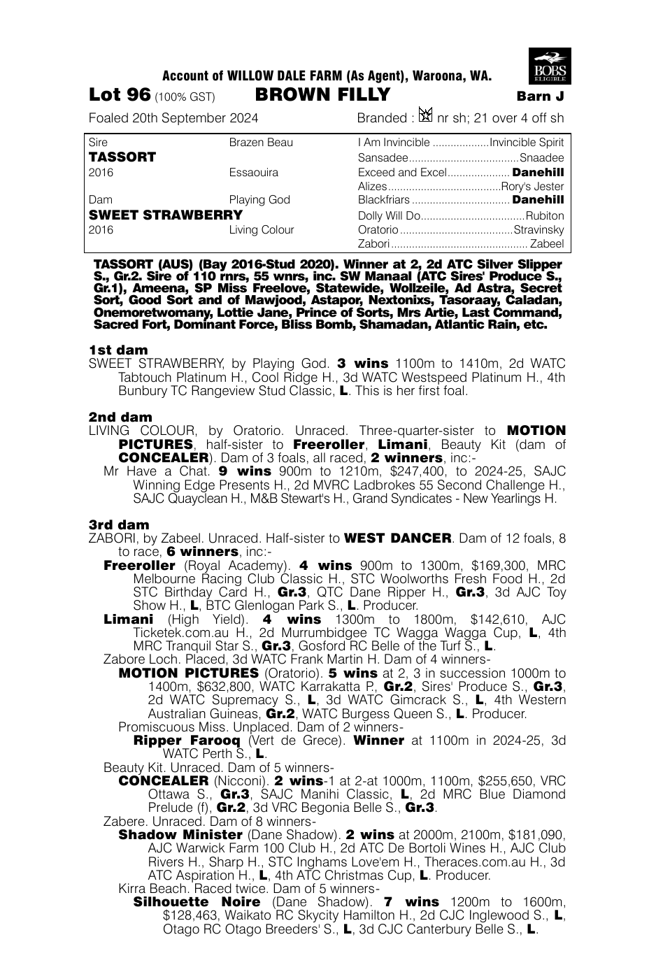 Pedigree - Lot 96