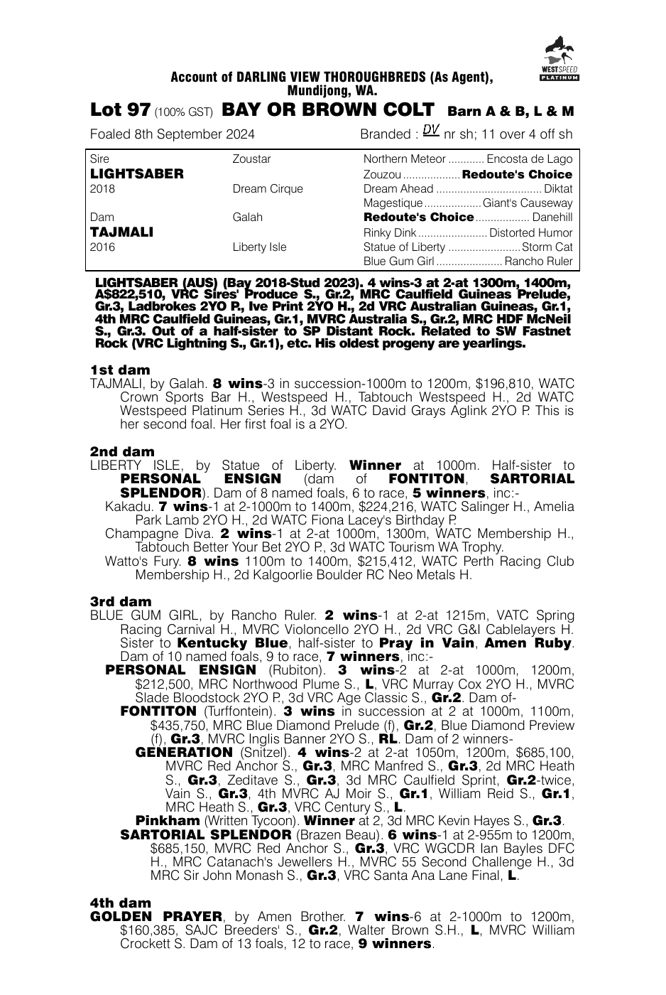 Pedigree - Lot 97
