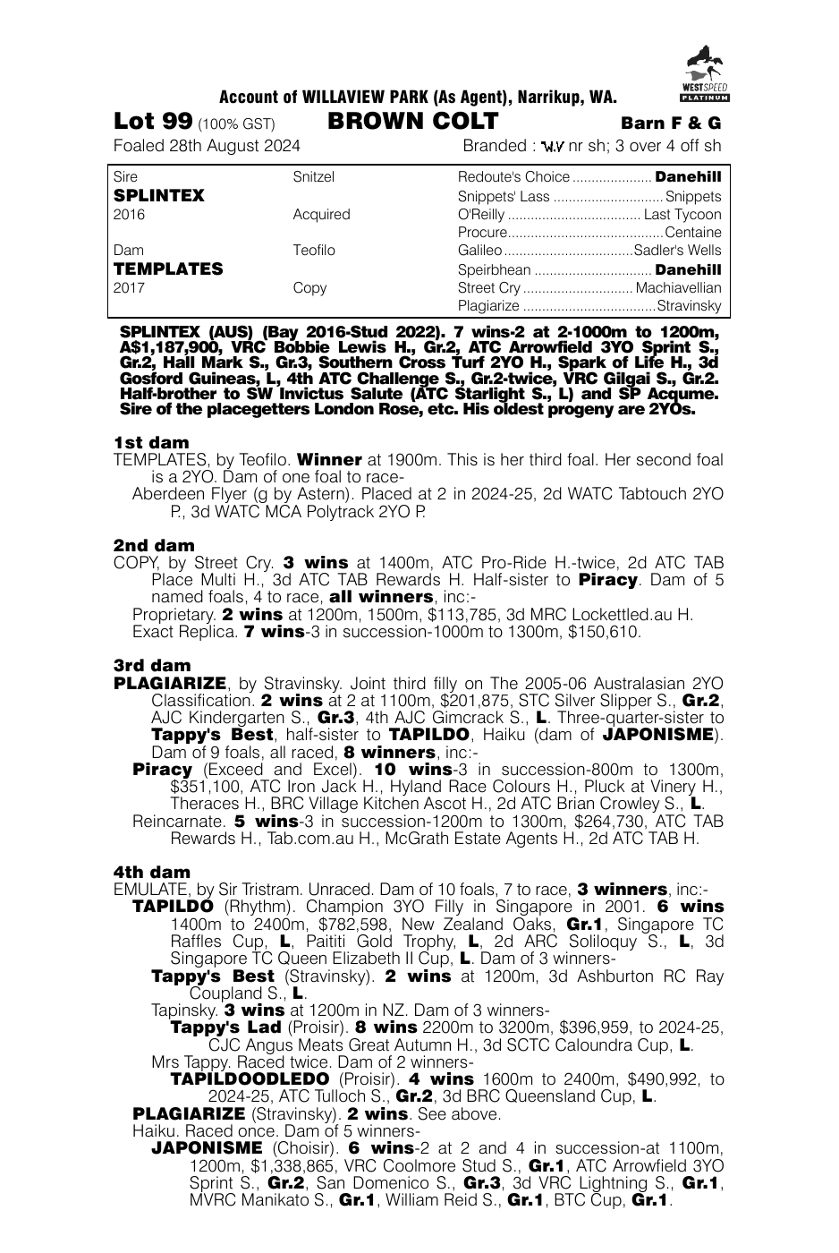Pedigree - Lot 99