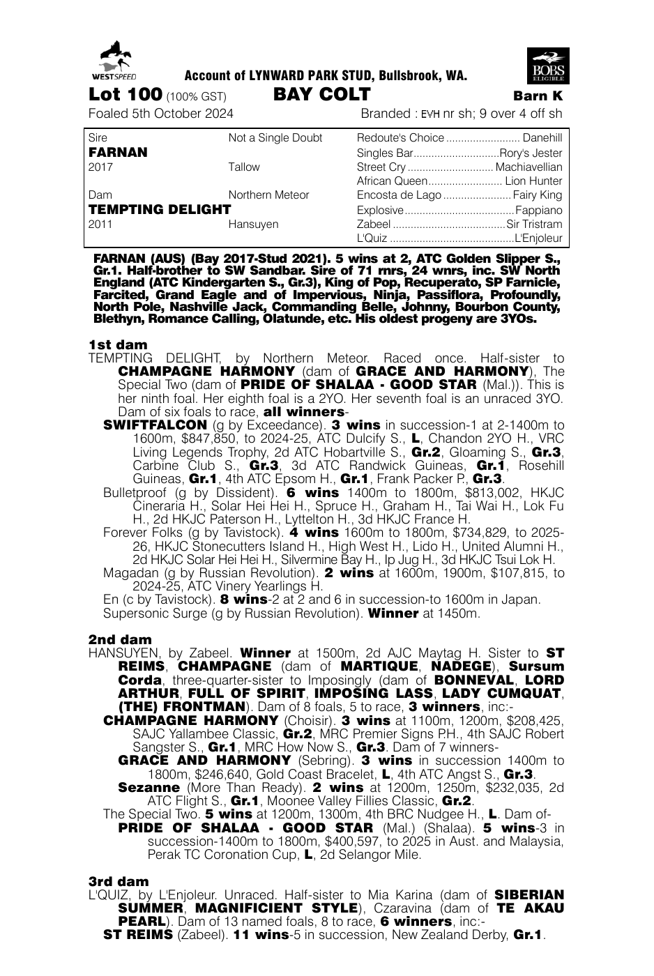 Pedigree - Lot 100