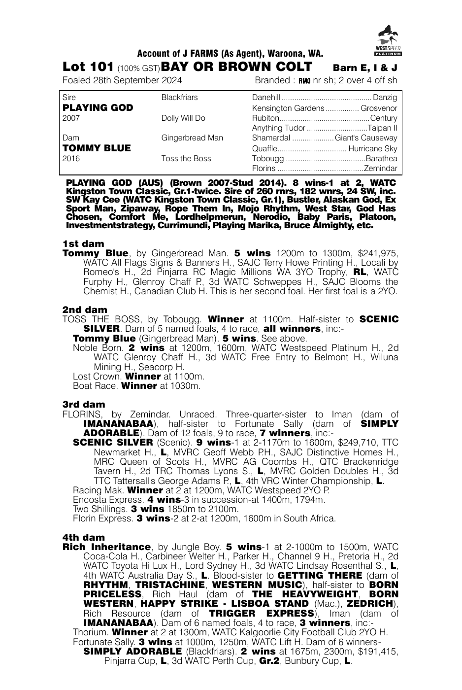 Pedigree - Lot 101